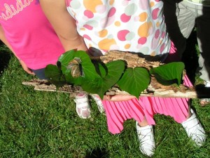 de plus près ... introduction au landart (que nous allons découvrir en voyage scolaire!)